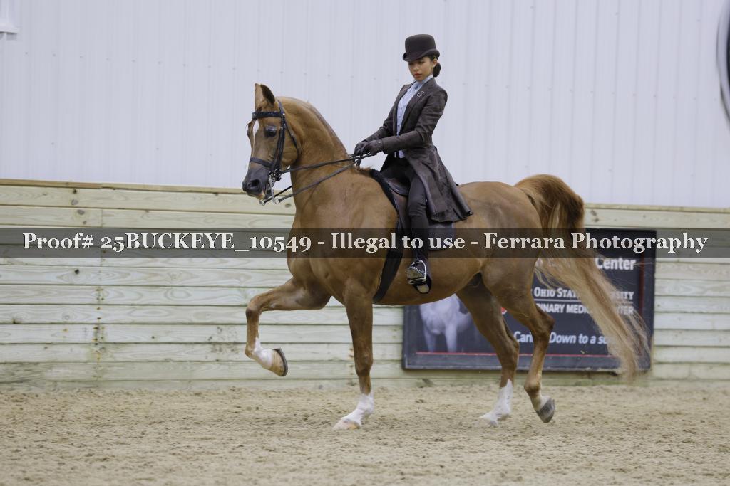 Proof Number 25BUCKEYE_10549