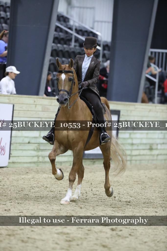 Proof Number 25BUCKEYE_10553
