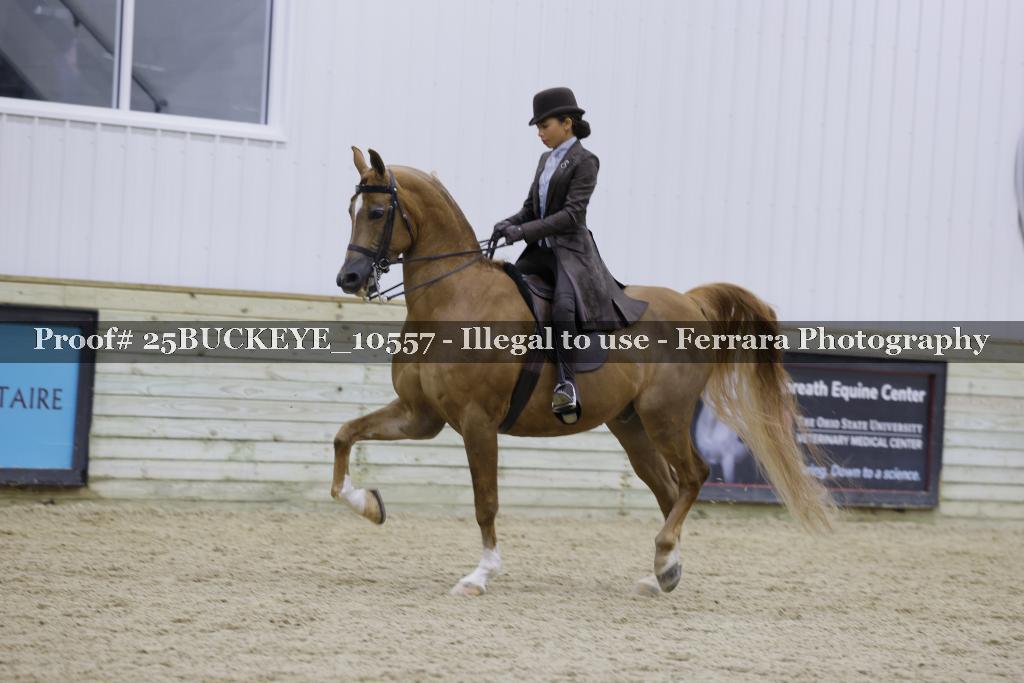 Proof Number 25BUCKEYE_10557
