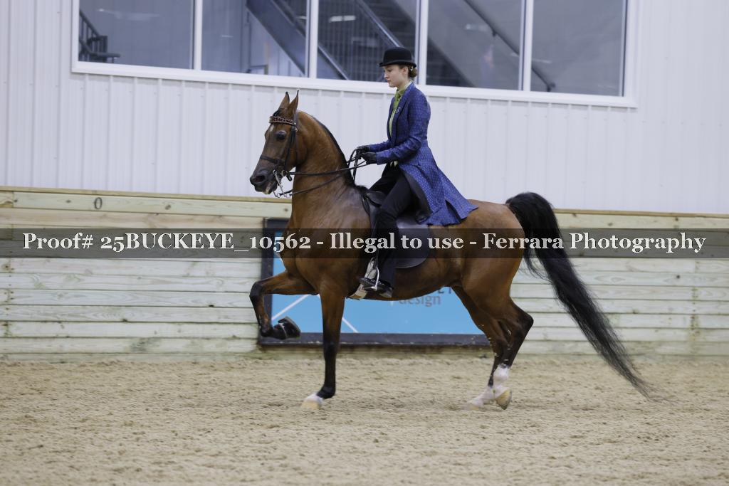 Proof Number 25BUCKEYE_10562