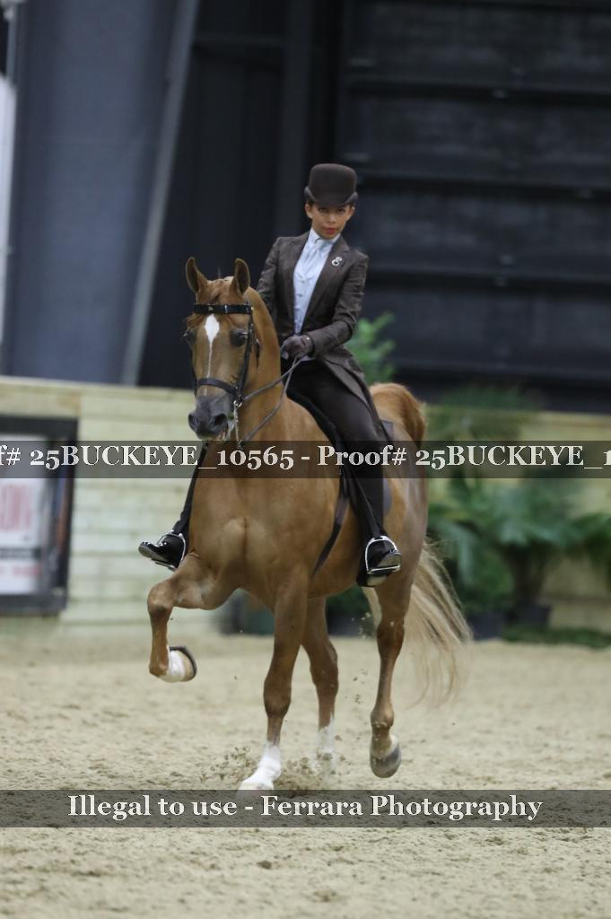 Proof Number 25BUCKEYE_10565