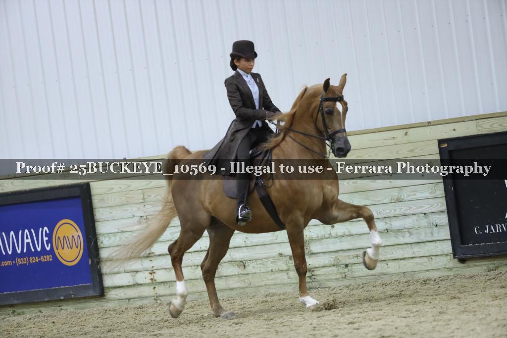 Proof Number 25BUCKEYE_10569