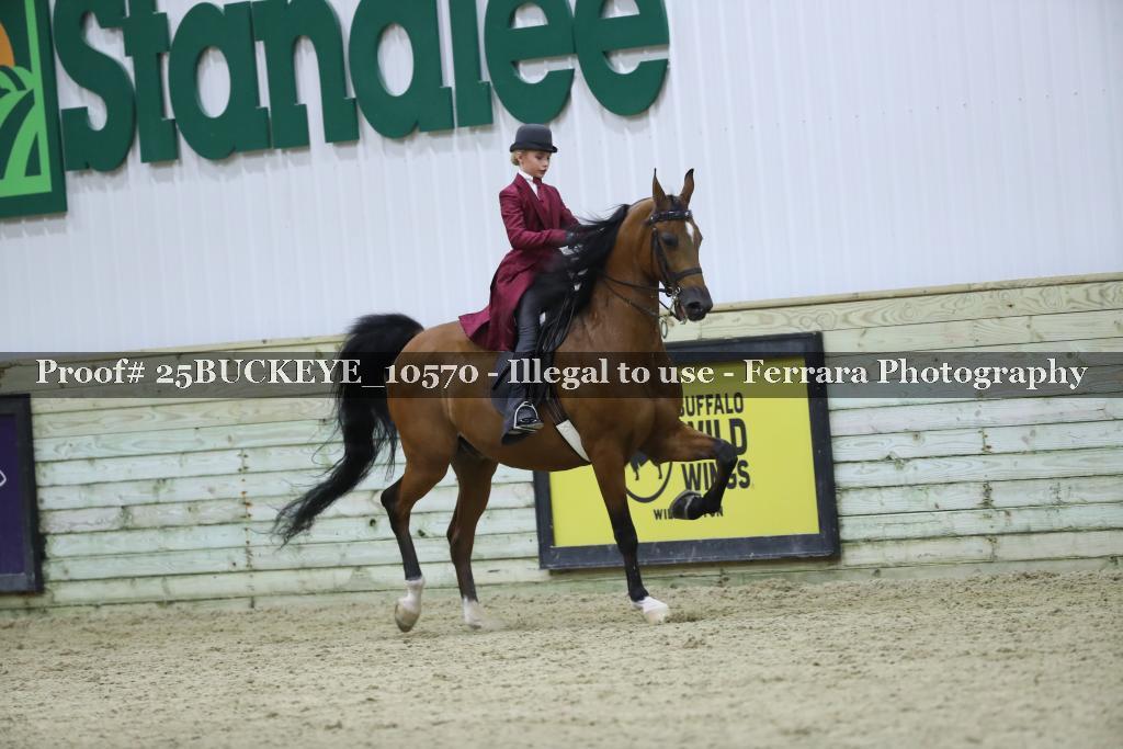 Proof Number 25BUCKEYE_10570