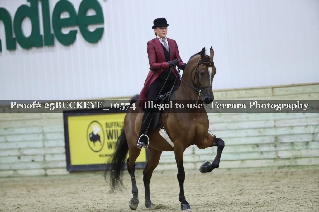 Proof Number 25BUCKEYE_10574