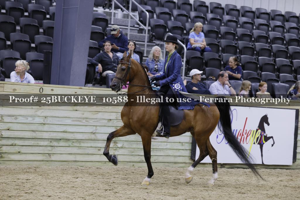 Proof Number 25BUCKEYE_10588