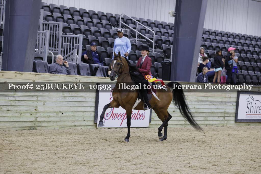 Proof Number 25BUCKEYE_10593