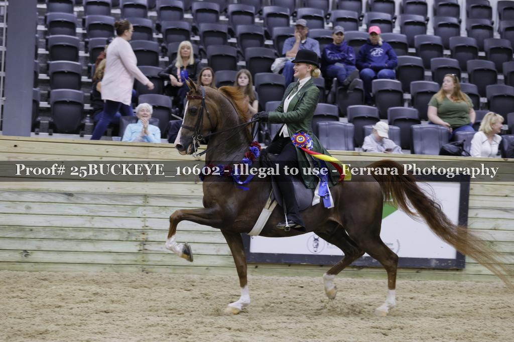 Proof Number 25BUCKEYE_10602