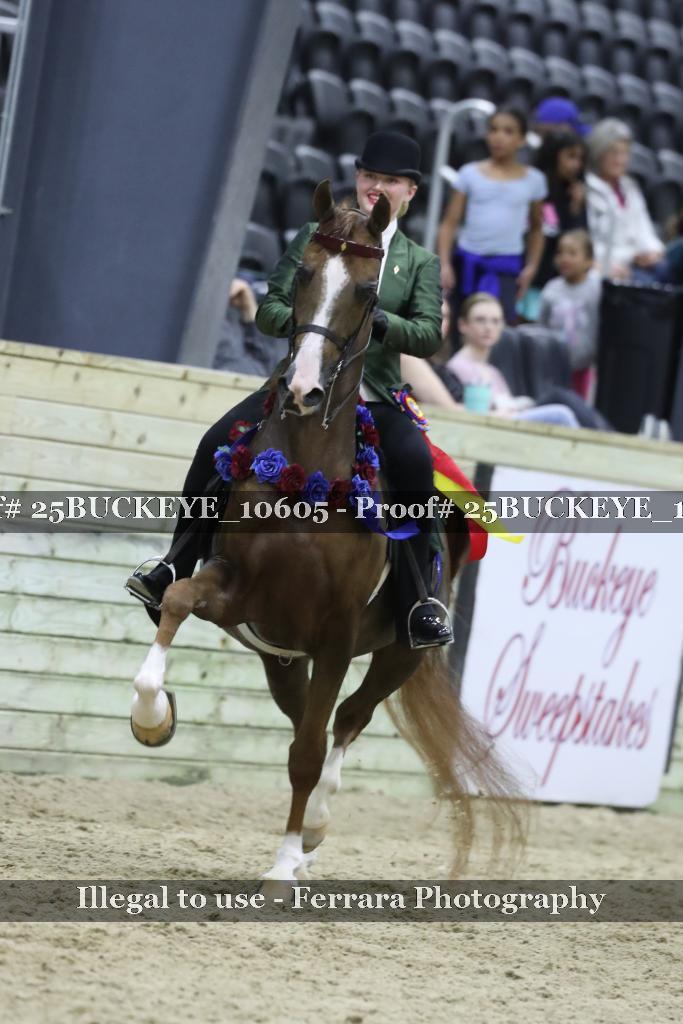Proof Number 25BUCKEYE_10605