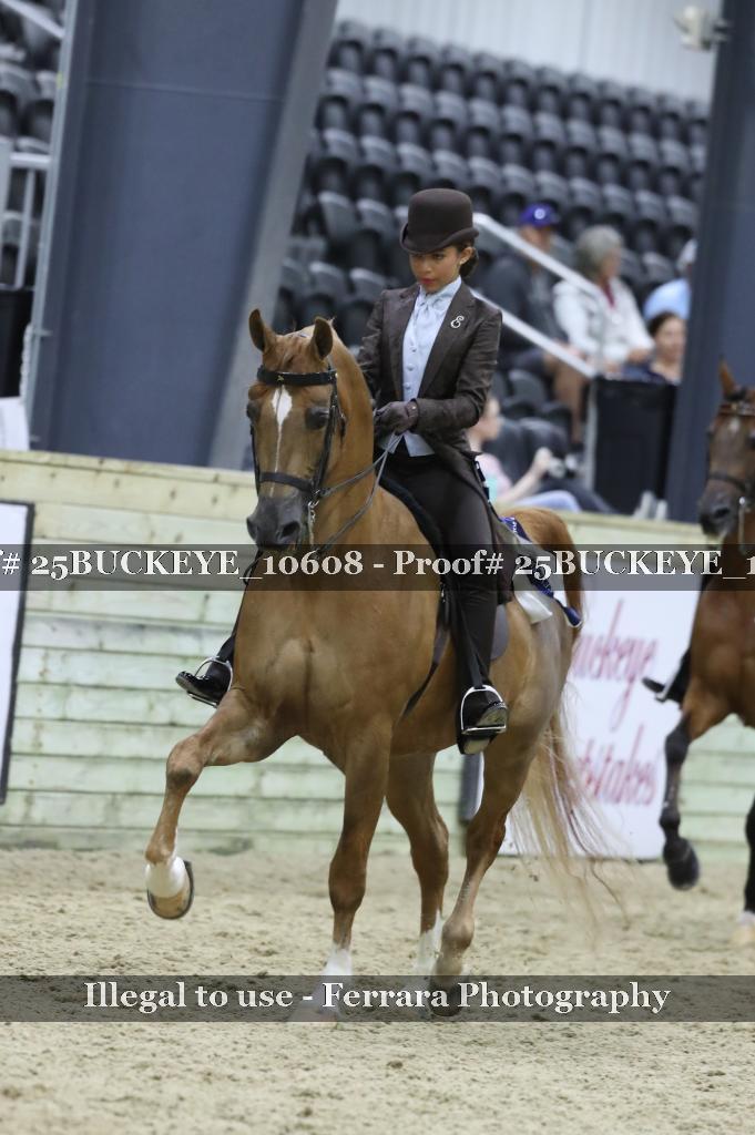 Proof Number 25BUCKEYE_10608