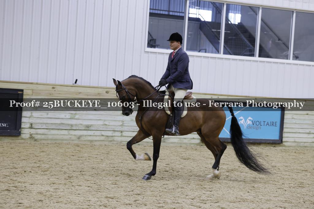 Proof Number 25BUCKEYE_10603