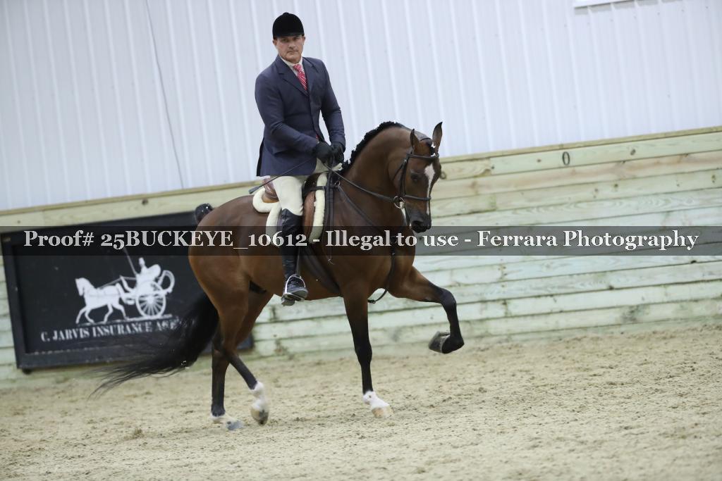 Proof Number 25BUCKEYE_10612