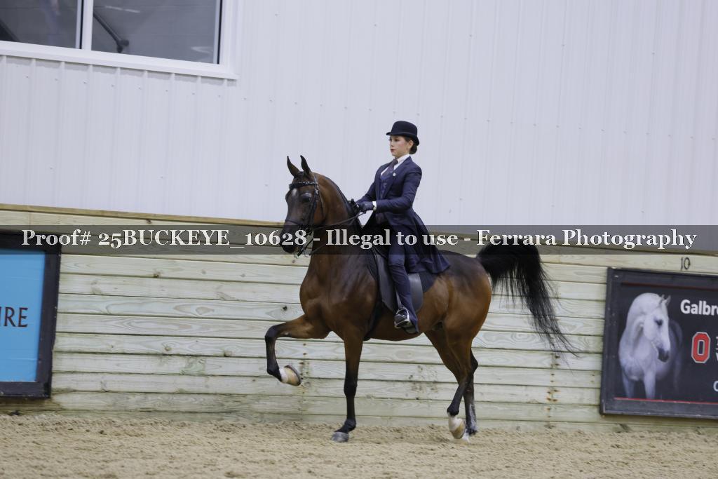 Proof Number 25BUCKEYE_10628