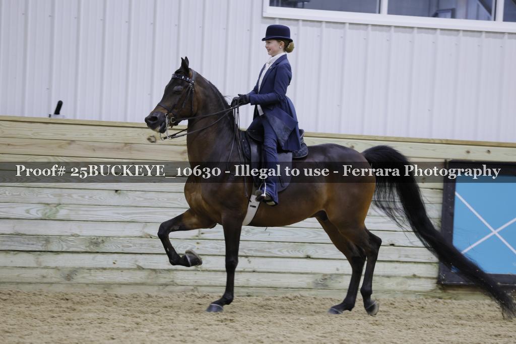 Proof Number 25BUCKEYE_10630