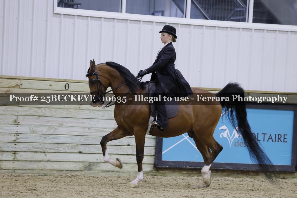 Proof Number 25BUCKEYE_10635