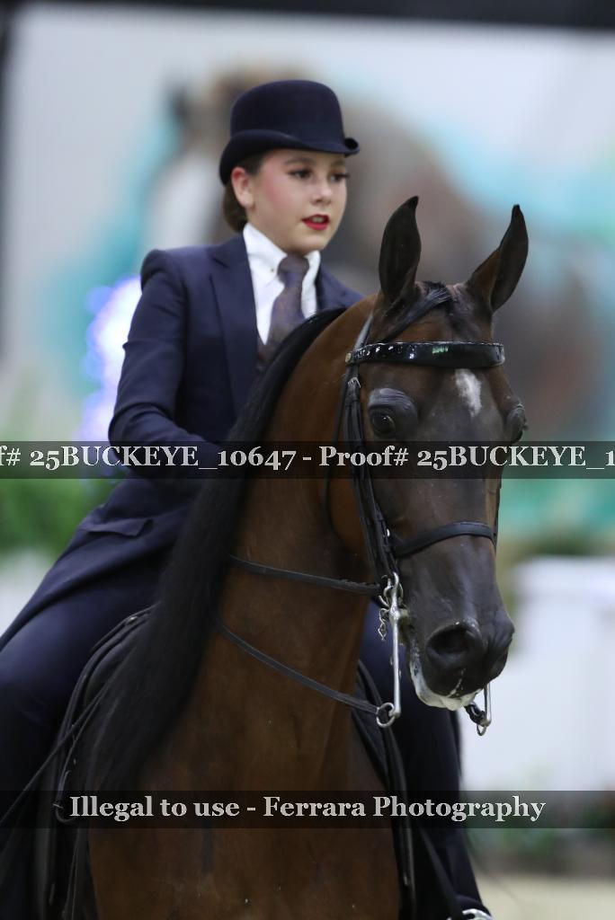 Proof Number 25BUCKEYE_10647