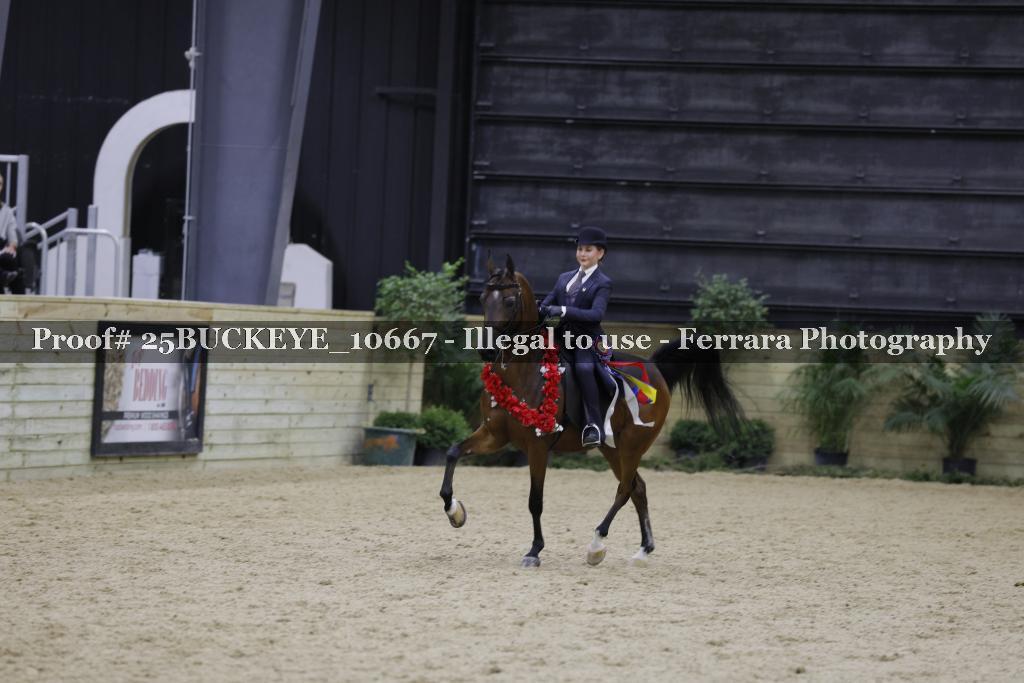 Proof Number 25BUCKEYE_10667
