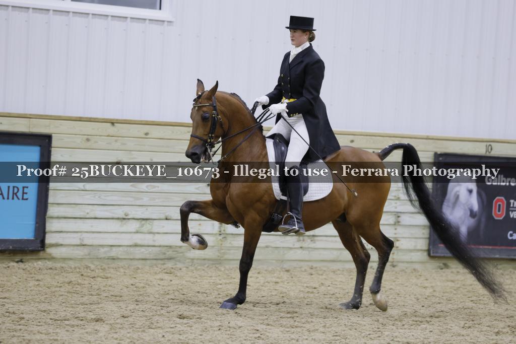 Proof Number 25BUCKEYE_10673