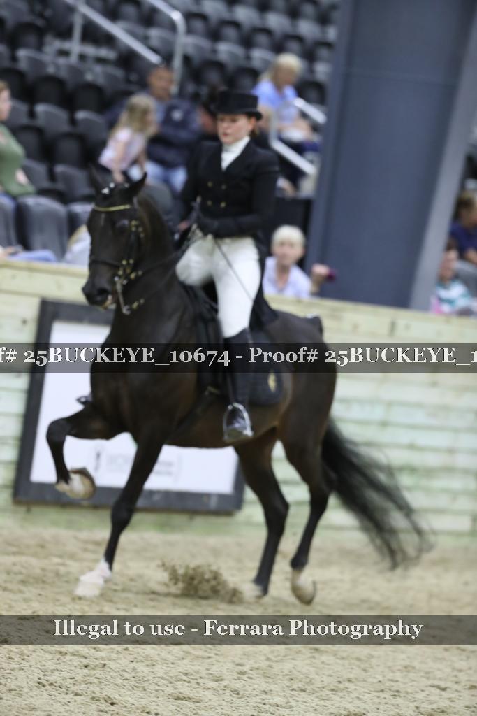 Proof Number 25BUCKEYE_10674