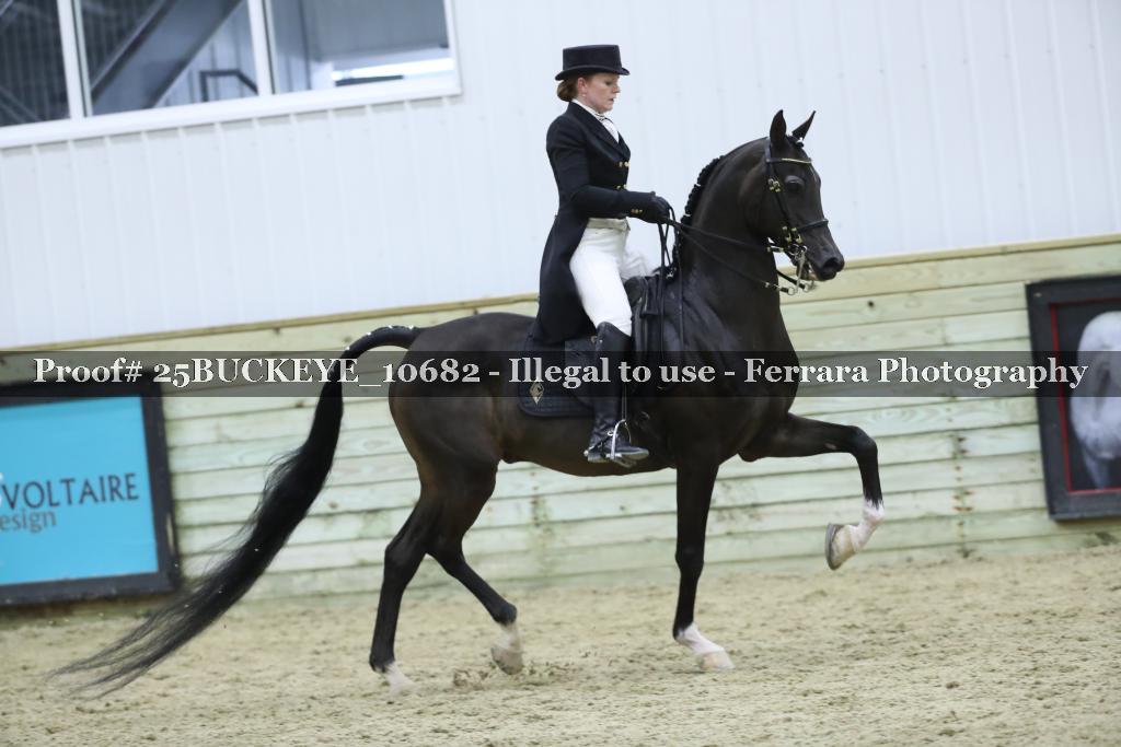 Proof Number 25BUCKEYE_10682