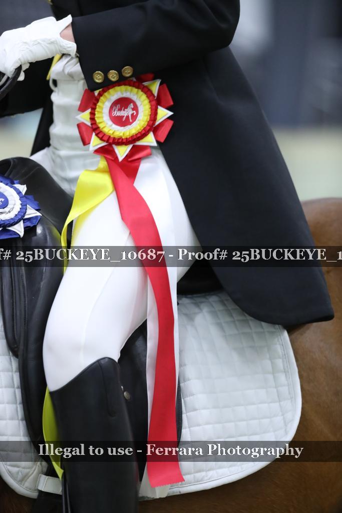 Proof Number 25BUCKEYE_10687