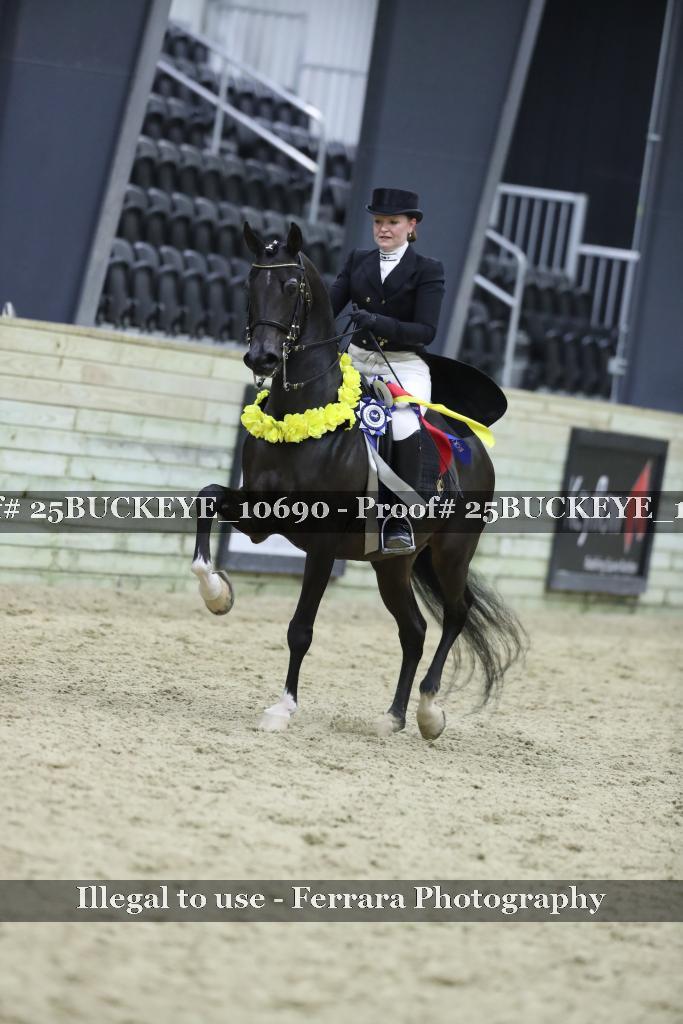 Proof Number 25BUCKEYE_10690