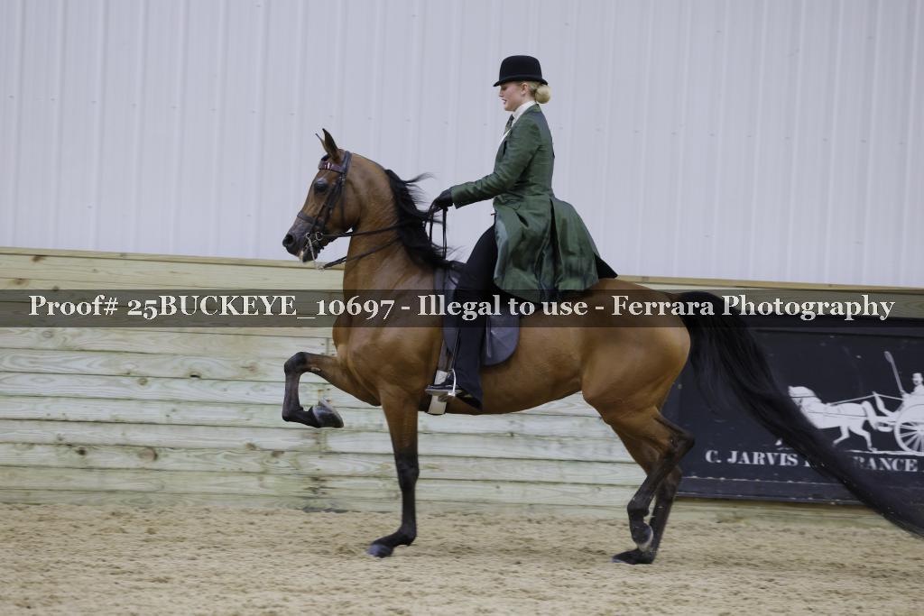 Proof Number 25BUCKEYE_10697