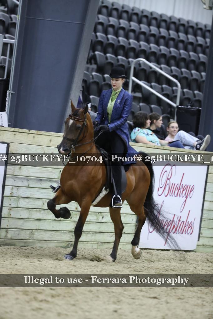 Proof Number 25BUCKEYE_10704