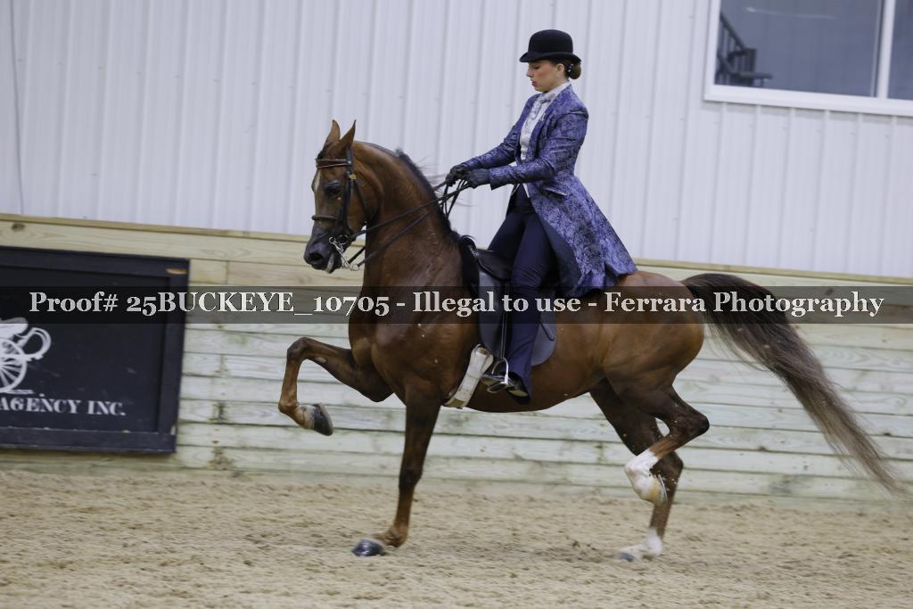 Proof Number 25BUCKEYE_10705