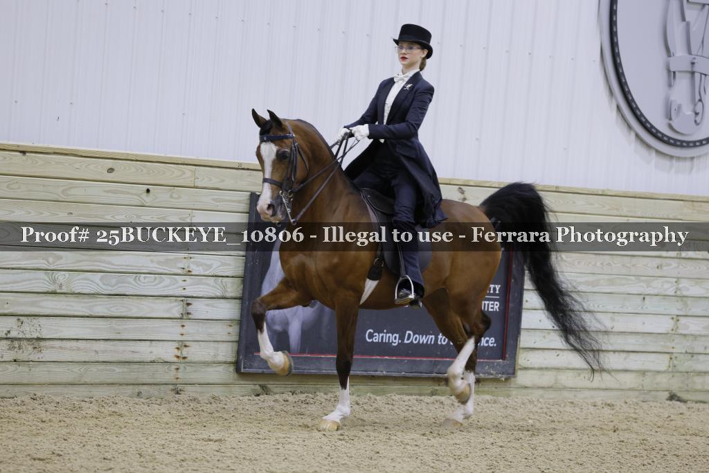 Proof Number 25BUCKEYE_10806