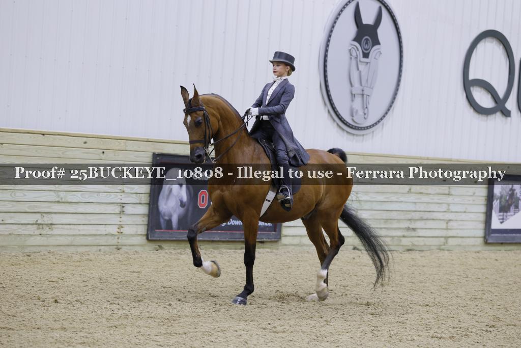 Proof Number 25BUCKEYE_10808