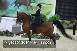 25BUCKEYE_10814 thumbnail
