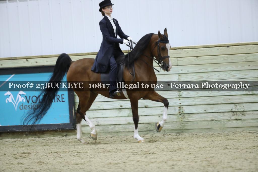 Proof Number 25BUCKEYE_10817
