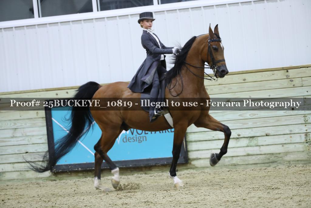 Proof Number 25BUCKEYE_10819