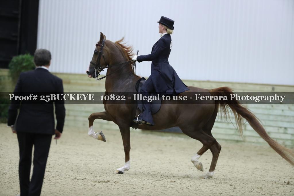 Proof Number 25BUCKEYE_10822