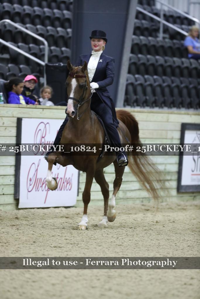 Proof Number 25BUCKEYE_10824