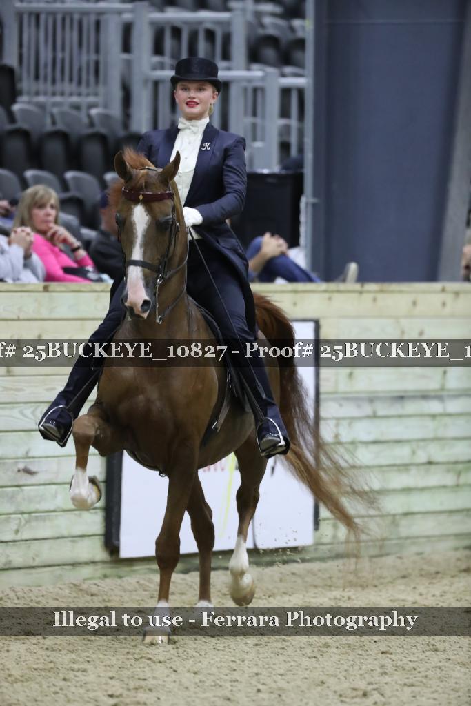 Proof Number 25BUCKEYE_10827