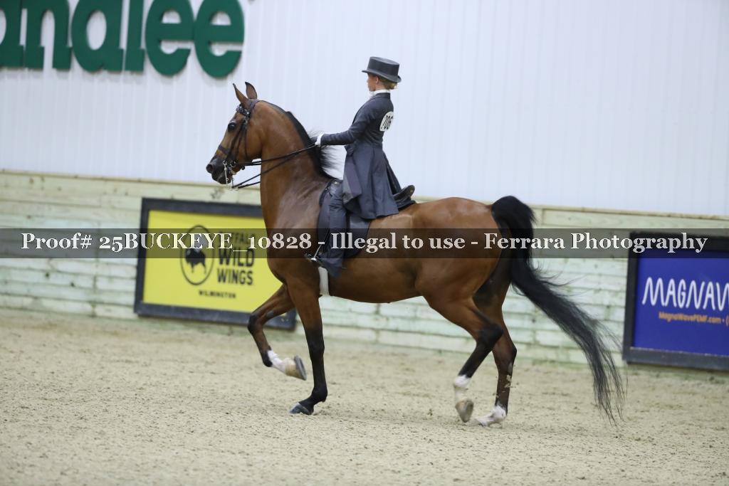 Proof Number 25BUCKEYE_10828