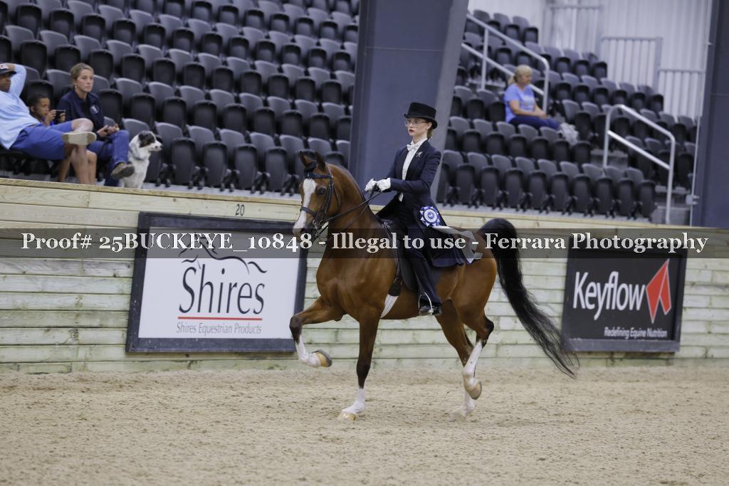 Proof Number 25BUCKEYE_10848