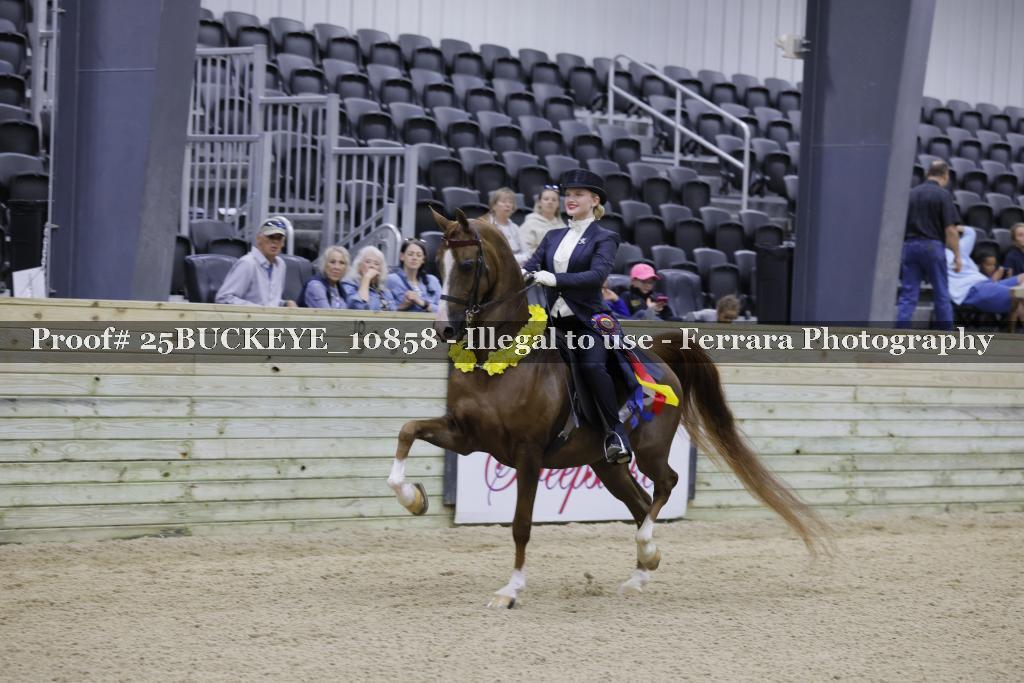 Proof Number 25BUCKEYE_10858