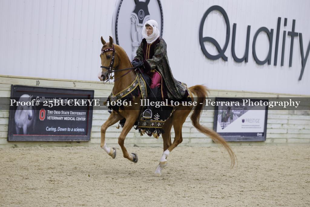 Proof Number 25BUCKEYE_10861