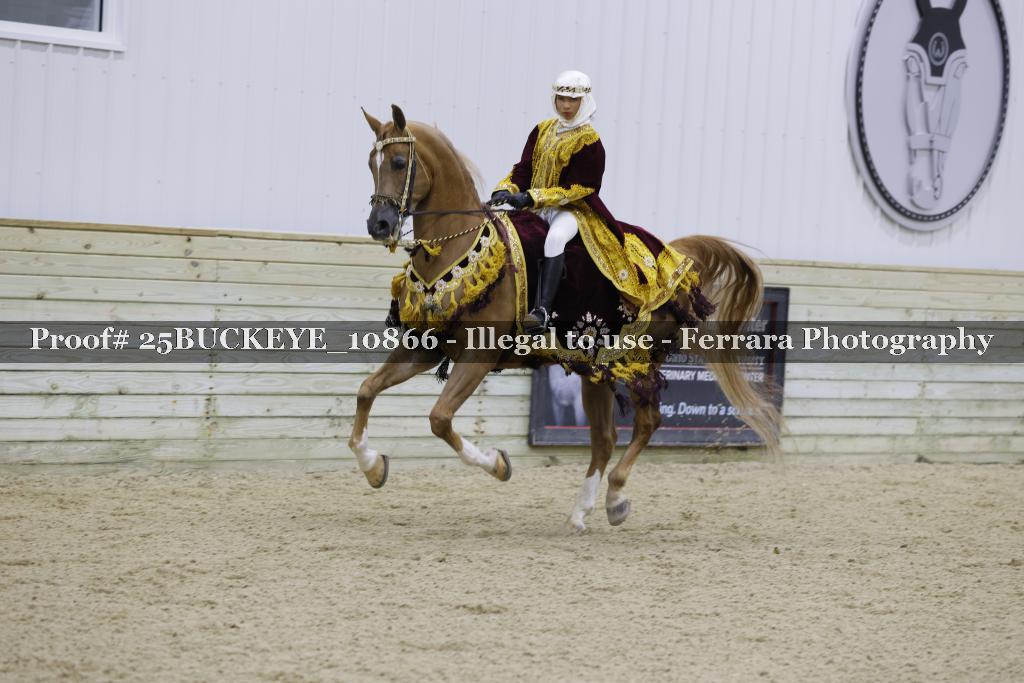 Proof Number 25BUCKEYE_10866