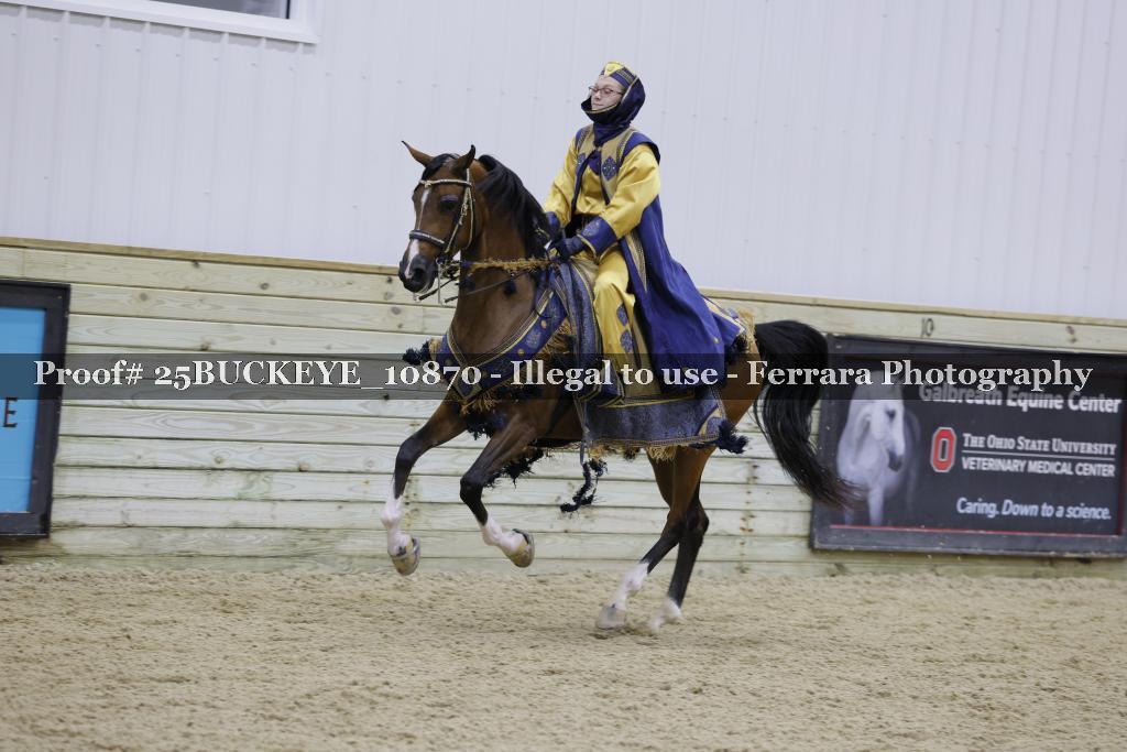 Proof Number 25BUCKEYE_10870