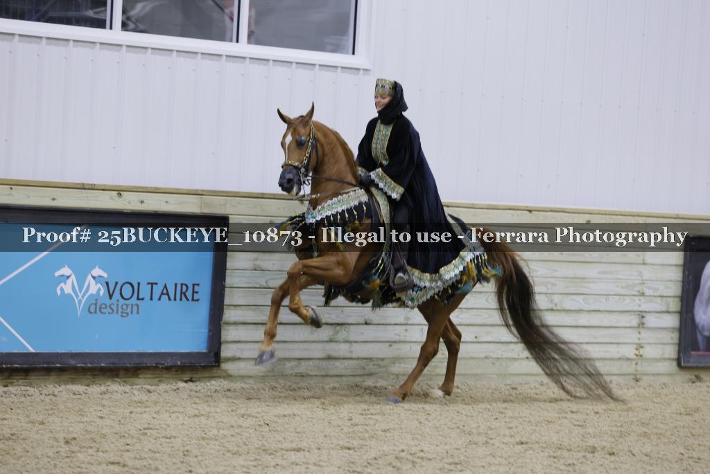 Proof Number 25BUCKEYE_10873