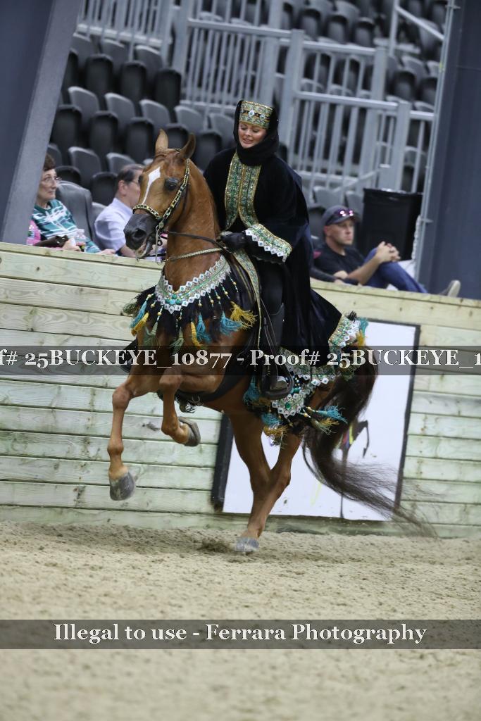 Proof Number 25BUCKEYE_10877