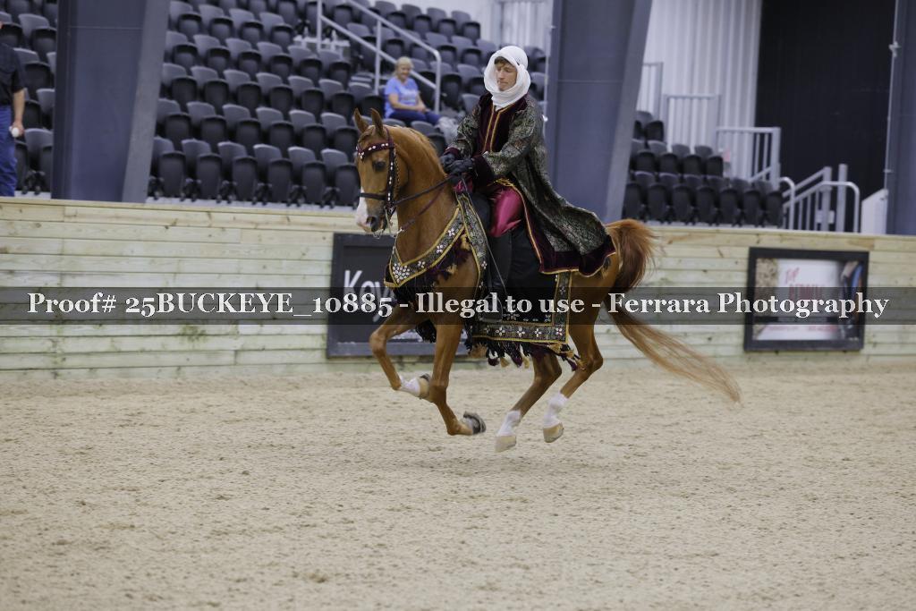 Proof Number 25BUCKEYE_10885