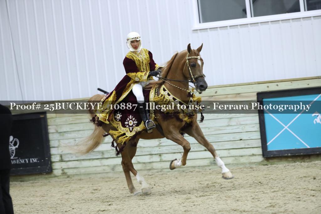 Proof Number 25BUCKEYE_10887