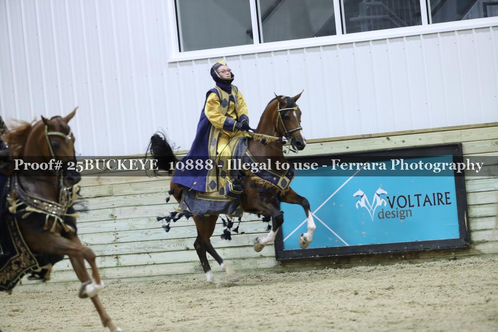 Proof Number 25BUCKEYE_10888