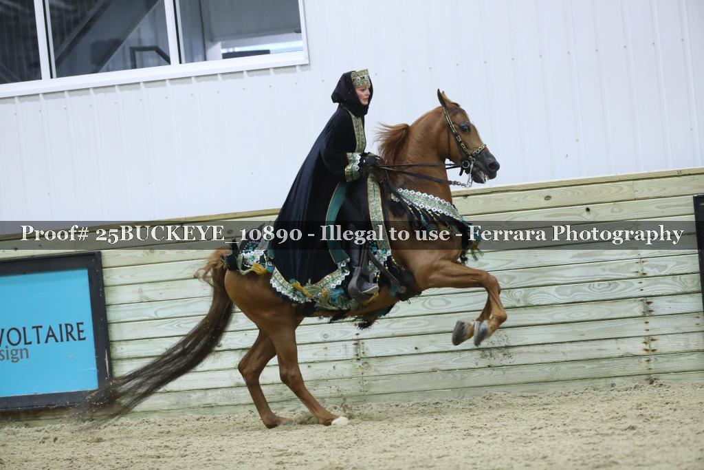 Proof Number 25BUCKEYE_10890