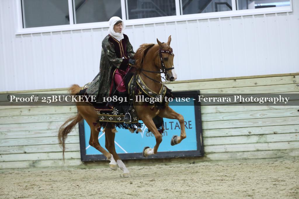 Proof Number 25BUCKEYE_10891
