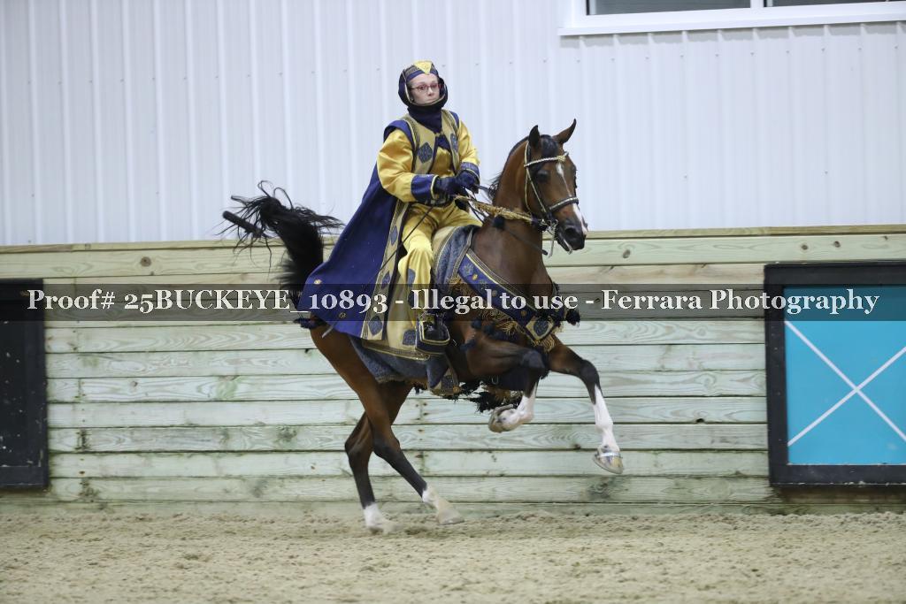 Proof Number 25BUCKEYE_10893